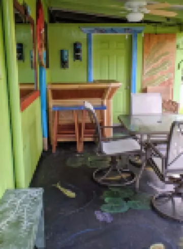 Rain Forest Apartment!