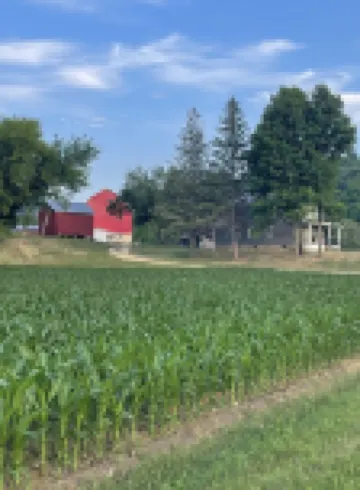Newly remodeled Farmhouse with Country Charm!Sleeps 10 people comfortably