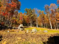 Mountain Tranquility, 1 Bedroom cabin secluded in the mountains of E Tennessee