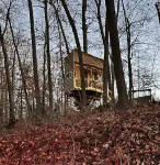 Immerse yourself with nature at this unique living tree-treehouse!