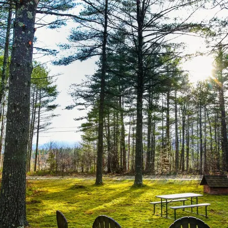 NEW Whiteface Mtn. View Cabin close to Lake Placid