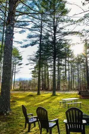NEW Whiteface Mtn. View Cabin close to Lake Placid