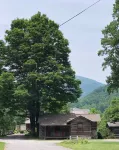 Cabin 5 - Rustic cabin in Pioneer Village, Great Smoky Mountains NC