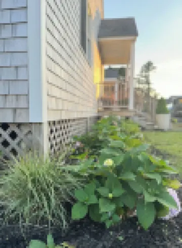 Seaside Coastal Escape 🌊 Hotels in Marshfield