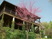 AMAZING LOG TREEHOUSE CABIN ON THE COLORADO RIVER