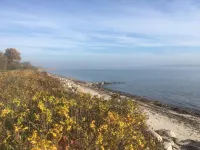 Idyllic farm cottage only 600 m from the Baltic Sea, natural beach, no car traffic Barkelsby 호텔