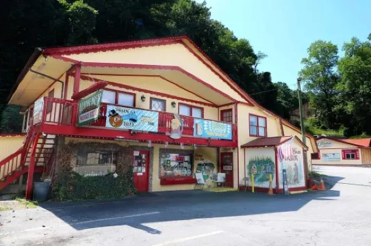 Couples Retreat! Cozy apartment in downtown Helen, GA.