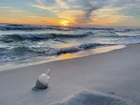 In The Heart of Apalachicola~Walk Everywhere~Autumn Moon Suite~Majestic Jewel