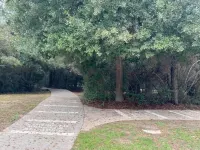 Dreamy 3 Bedroom House in the Woodlands