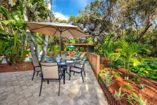 Paradise in Clearwater