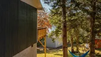 Family Friendly Lake Cabin Near Silver Dollar City With A POOL!