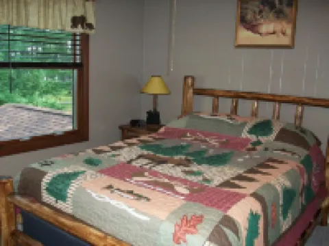 Spacious newly remodeled pet-friendly home