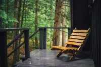 A-frame w/ sauna near Whiteface & Lake Placid, NY