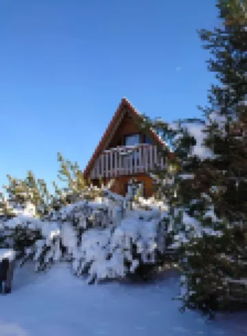 Gemütliches Holzhaus in Wolfshagen im Harz. Familienfreundlich