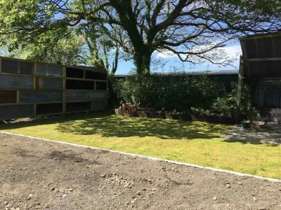 Cosy, quiet space in pretty countryside with access to fields. 20 mins to coast. Hotels near Walnut Farm Glamping - Luxury 6m Geodomes in Devon