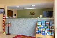 Econo Lodge Hotels in Bell County