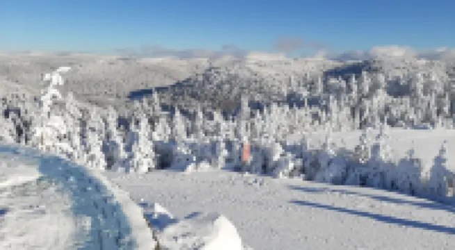 Appart 100 m² Downtown in garden 2 Ha 300 m from the Lake (garden & lake views)