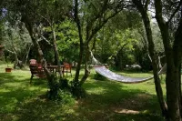 House on Florence Hills - 4 Miles Away from Downtown Florence!