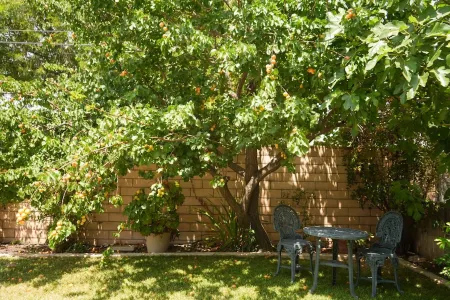 ENTIRE House!~3min to Old Town LaVerne! Отели рядом с достопримечательностью «Университет Ла Верн»