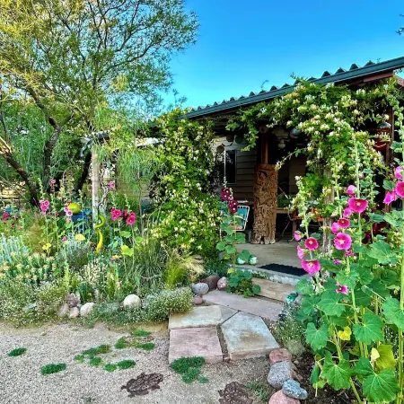 Artistic home and gardens Just a stones throw to Roosevelt Lake.