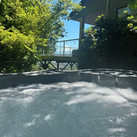 Chateau du mont Rainier - a basement apartment w a view of Mt Rainier & hot tub