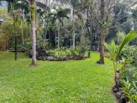 Tropical, Hawaiian-style A-frame Home