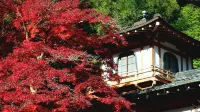 Sanso Kaze No Mori Hotels in der Nähe von Katsuō-ji