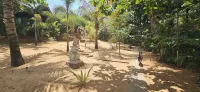Little India Beach Cottages Hotels in Calangute