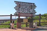 Wan WanParadise Premier Nanki Shirahama - Thân thiện với thú cưng