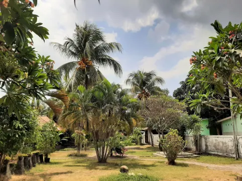 新塔曼薩里民宿