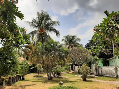 New Taman Sari Homestay Hotels in West Pemenang