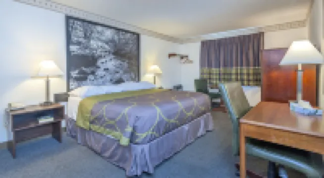 科羅拉多斯普林斯-切斯特納特街温德姆速8酒店