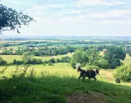 가든 반 파딩호 호텔