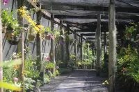 Sailors Beach Fiji Hotel a 