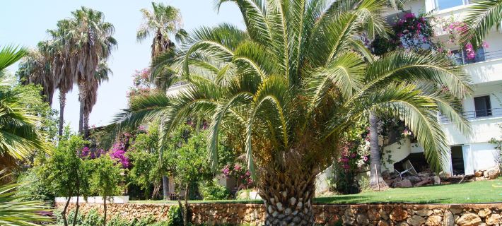 Pataros Hotel Hotels in Kas