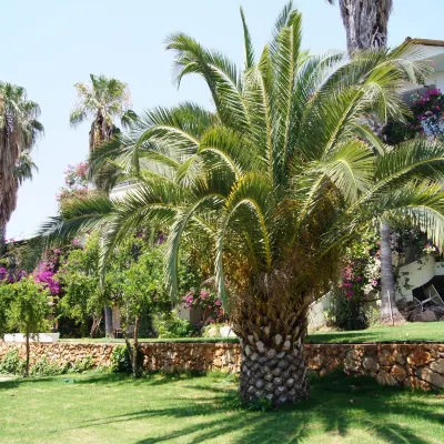 Pataros Hotel Hotels near Patara Beach