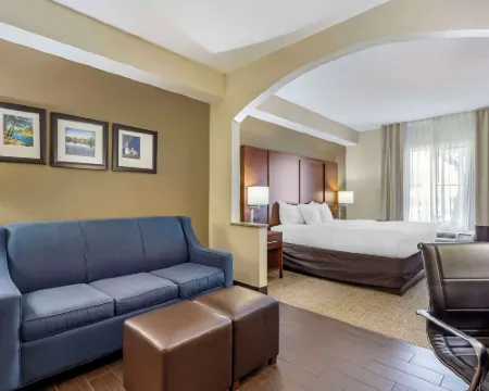 Comfort Inn & Suites Hotels in Seguin