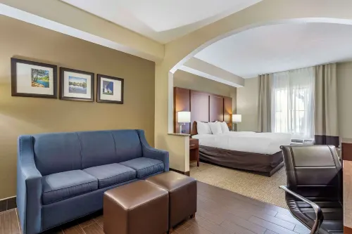 Comfort Inn & Suites Hôtels à : Seguin