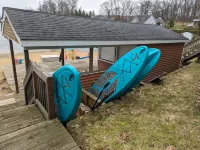 Charming 4-bedroom Saint Mary's Lake house in Battle Creek
