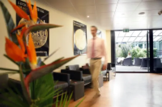 앰배서더 루체른