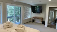 Private Theater, Hot Tub and Infrared Sauna - Stunning Retreat فنادق في Zephyr Cove–Round Hill Village