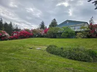 Mountain and Sound view, kid/dog/game-friendly Hotels near South Whidbey State Park