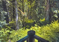 Rustic Charm and Creekside Deck - Enchanting Log Cabin Retreat