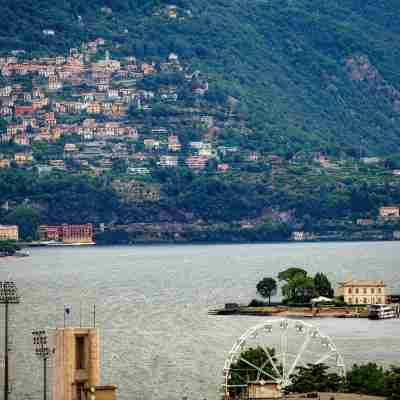 Bird's Eye View - by Myhomeincomo Others