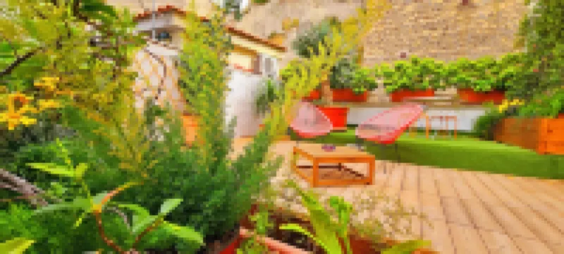 Daily Napoli - Lungomare