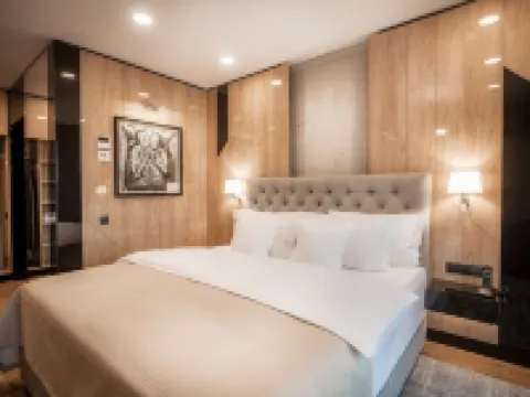 Hotel Platinia Hotels in Cluj-Napoca