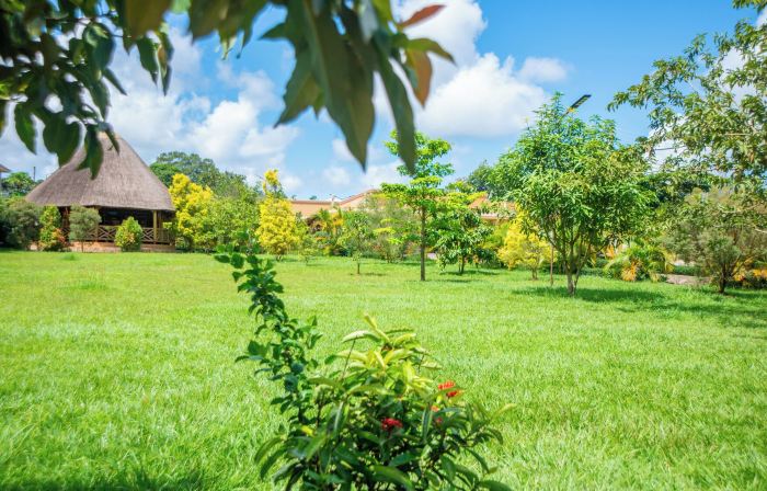 African Roots Guesthouse Entebbe