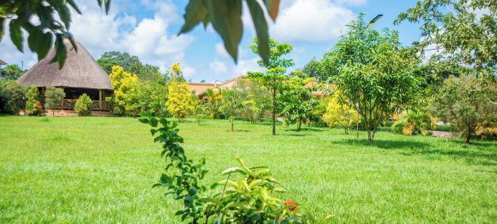 African Roots Guesthouse Entebbe Hotels in Busiro