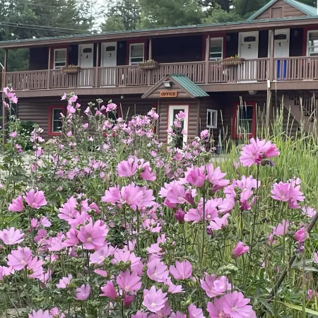 Mountain View Motel & Campground