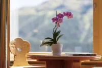 Chesa Languard - Bữa sáng